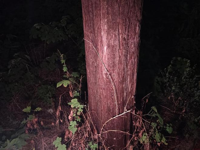 ix小魔方头灯体验让你爱不释手！冰球突破